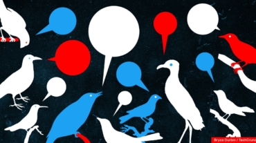 birds-talking-3.jpg