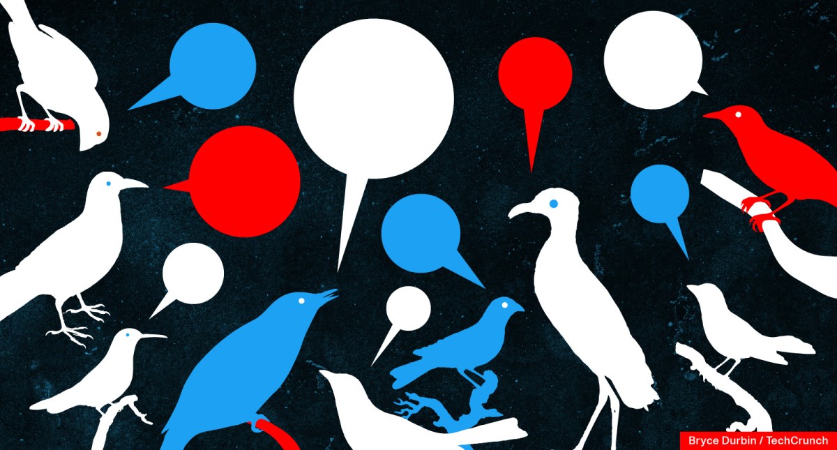 birds-talking-3.jpg